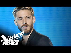 Calogero (Danser encore) | Petit Green | The Voice France 2018 | Auditions Finales