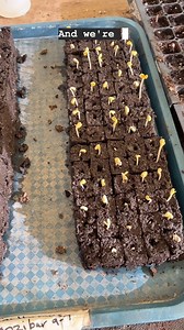 3.2K views · 44 reactions | Spring has been started on my farm. ...