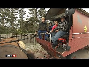 Erik Lauritsen holder sommerferie i en hestevogn med fem børnebørn - TV Avisen