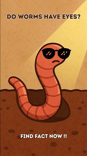 Do Worms Have Eyes? Surprising Truth About How Worms See!