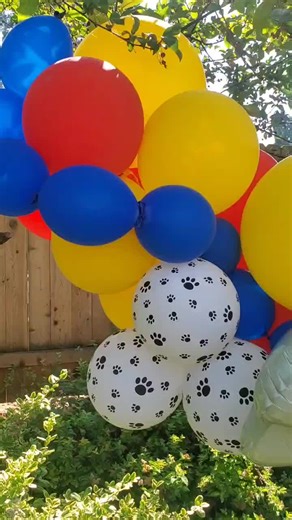 Molly (@hellohoneyboise)’s videos with Paw Patrol (From