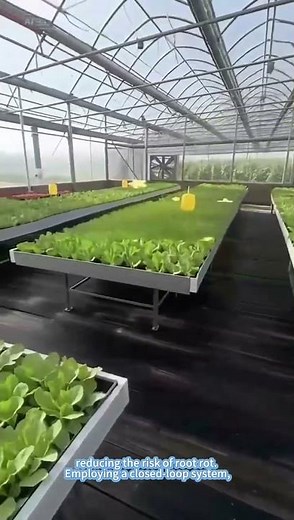 4*8 Hydroponic Grow Plant Seedbed Ebb and Flow Growing Systems