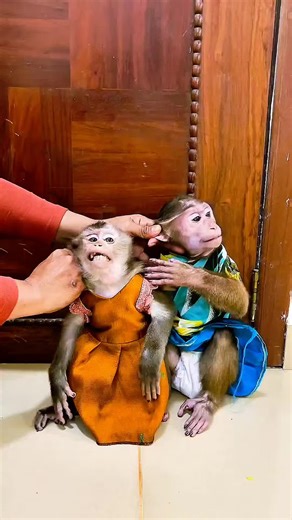 Mom ​shouldn't use negative phrases that parents should avoid, and how to replace them with positive actions instead.