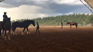 7.5K views · 195 reactions | At the last Wednesday Night BBQ, Linda's...