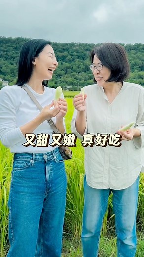 36K views · 1.8K reactions | 媽媽超愛吃米飯 也很愛吃台灣米 這次帶她去苗栗有幾米稻田 充滿城市裡看不到小驚喜 在友善環境裡種出來的稻米 難怪又香又好吃 | 大久保麻梨子 Okubo Mariko | Facebook