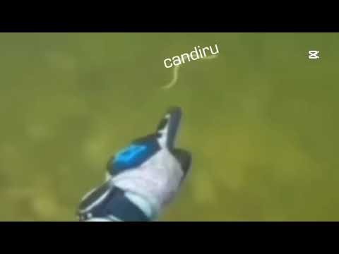 Candiru Film Production