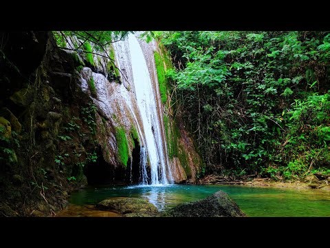 Tranquil River Stream – Peaceful Nature for Relaxation 🌿 Relaxing River Sound Bath – Sleep