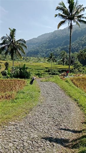 Creator Insights for Engaging Video Reels