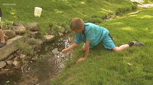 Study: Kids fare better when connected to nature