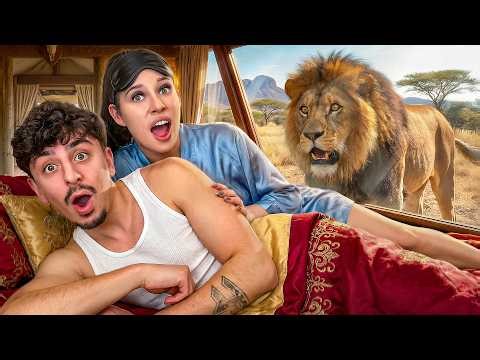 I Stayed in a Luxury Animal Hotel