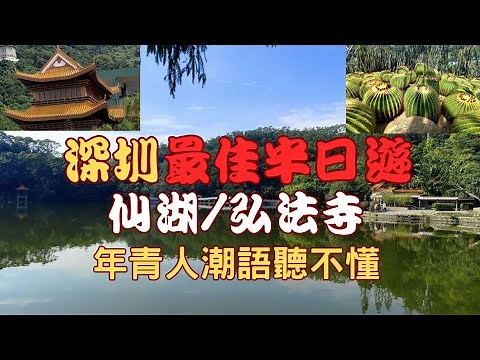 【深圳仙湖植物園】港人半日遊全攻略🌵蓮塘口岸直達！$3巴士VS$10無限搭｜3小時速刷12大景點實測