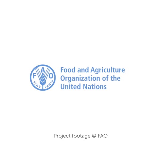 3.5K views · 88 reactions | What happens in a climate-smart...