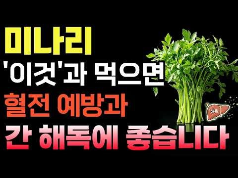 간 건강 비결 미나리, 그냥 먹으면 손해! 혈관을 위해 반드시 확인해야 할 섭취법 ㅣ시니어 건강