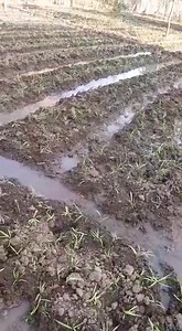 1.1K views · 21 reactions | مهندس /عادل الشرقاوى01003677232 مهندس...