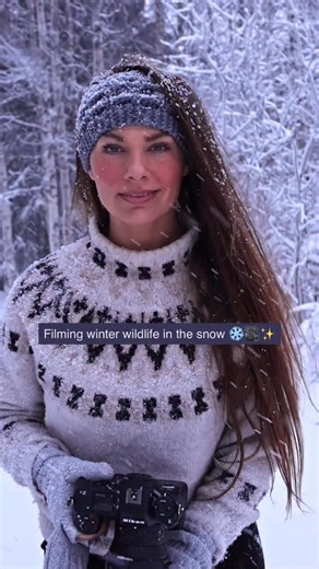 239K views · 15K reactions | Who’s ready for the most magical wildlife season ❄️✨凉 Wildlife in the snow is my favourite condition to film in! It makes everything so much more magical ❄️❄️❄️ Hope you like it 﫶 I’ve decided it’s basically Christmas now so it’s snow time 﫶 Thank you so much everyone ❤️ #wildlife #wildlifephotography #photography #snow #winter #christmasiscoming #winterwonderland | Hannah Stitfall | Facebook