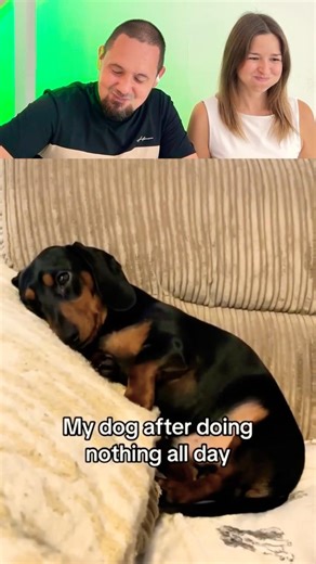 This was harder than I thought | Try Not to Laugh 150 #shorts