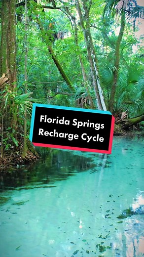 Exploring Florida's Freshwater Springs at Rainbow Springs