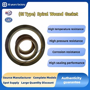 [Hot Item] DIN Standard Concave and Convex Flange Sealing Gasket with Inner Ring O-Ring SS304 Metal Graphite Spiral Wound Gasket