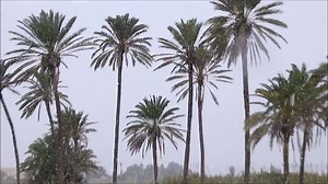 119K views · 1.3K shares | Así ha sido la primera nevada en...