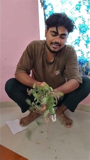 science with ganja ganja 🌿 #shortsfeed #comedy #funny #shortvideo