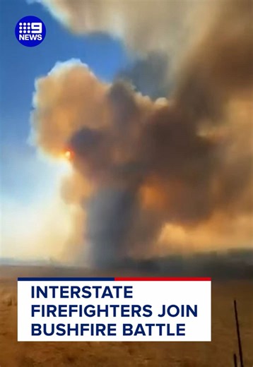 Interstate firefighters have landed in South Australia to join forces with CFS volunteers in their battle to contain the bushfire ravaging the Fleurieu Peninsula since Sunday. #9News