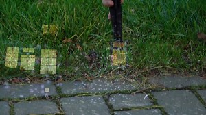 2.1K views | Guarantee a white Christmas this year with the Snowfall...