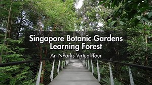 5.2K views · 327 reactions | #DidYouKnow that the Learning Forest is...