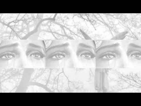 learning firework [stream 3]