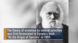 19K views · 219 reactions | What's Darwin's Theory of Evolution? Is...