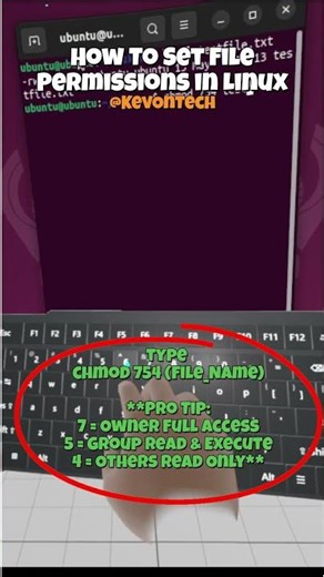 (Linux) How To Set File Permissions in Linux