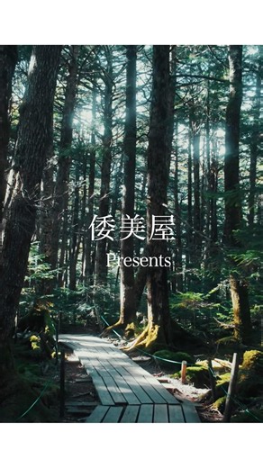 この場所もののけ姫の世界に入り込めます。