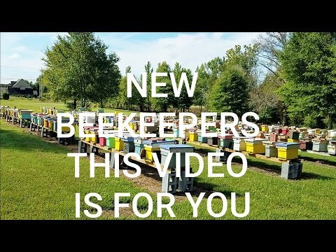 New & First Year Beekeepers Let's Talk