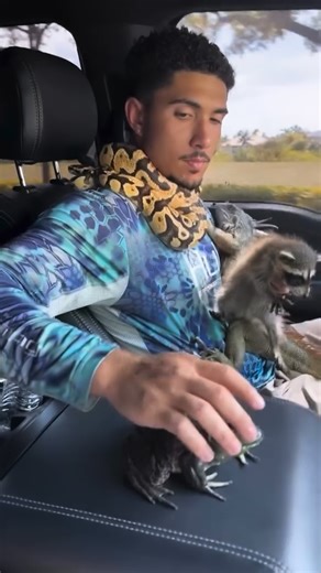 Madagascar… . . #madagascar #animals #instagramreels #comedy #reel #rebootearth #explorepage #wildlife #forest | Malikscomedy