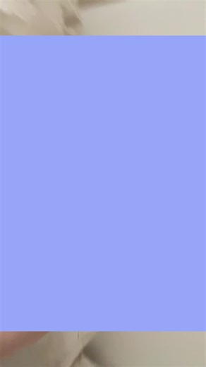 Explore Mella and Safa: Engaging Video Content