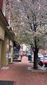 63 reactions | Spring fever  | Downtown West Chester, PA | Facebook