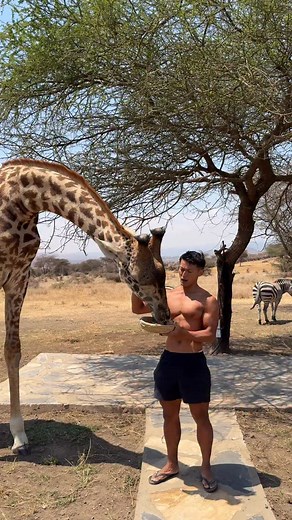 1.4K views · 168 reactions | 漣 In the silent breath of the jungle...