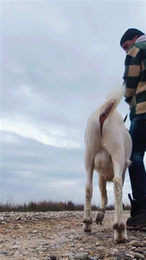 que confundidas están esas personas que piensan que los lujos de la vida están relacionados con la posición económica de uno!! yo soy el primero que lo pensaba hace unos años pero a día de hoy no cambió mi furgonetilla de segunda mano por ningún yate o jet privado, este camino lleno de barro por ninguna playa paradisíaca, ni mis animales por ninguna relación con la elite social. Al revés, aveces pienso que debe ser muy triste tenerlo todo en la vida menos consciencia para valorar lo que en verda