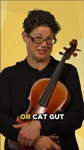 Viola Anatomy 101! A quick tour of the parts that shape its warm sound.