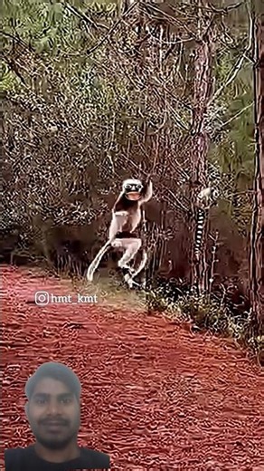 पवन का paryavachi 🤣😂🤣