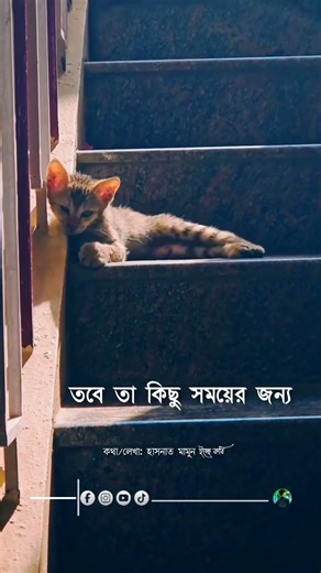 আমি মানুষকে যতবার বিশ্বাস করেছি, তারা ততোবারই আমাকে ঠকিয়েছে 🥹💔