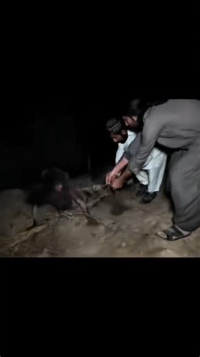 myth creatures part - 11