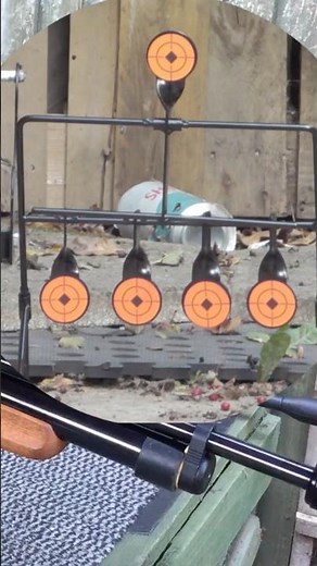 Spinning Resetting Target Shooting Test