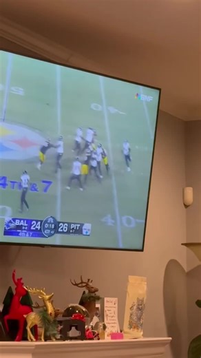 Dad's Hilarious Reactions During Ravens Games