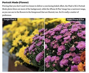 Apple iPhone 8 Plus vs Google Pixel 2 XL: camera is only part of the package | AppleInsider