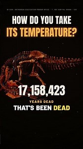 Scientists Just Took T. Rex's Temperature