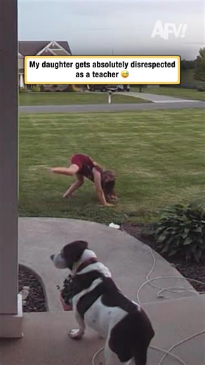 1.2M views · 10K reactions | Aaaaaand that's detention for the dog  #afv #dogs #funnyvideos | America's Funniest Home Videos | Facebook