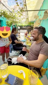 Στην πρώτη μου επίσκεψη στο Cat Cafe Athens γνώρισα τον Τζόρνταν, την γάτα που κάνει hi5 και ένας μεγάλος έρωτας γεννήθηκε! Δες το βίδεο! 👉 Και αν ερωτεύτηκες και συ τον Τζόρνταν ΚΑΡΔΟΥΛΩΣΕ ❤ | Tsitsos the cat