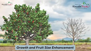 1.2K views · 55 shares | CALFINE – Nanoparticles of Calcium &...