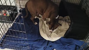 Jeremy Thompson on Reels