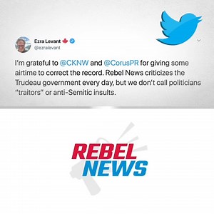 Rebel News on Reels